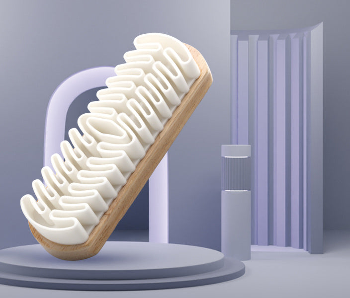Shoe Brush